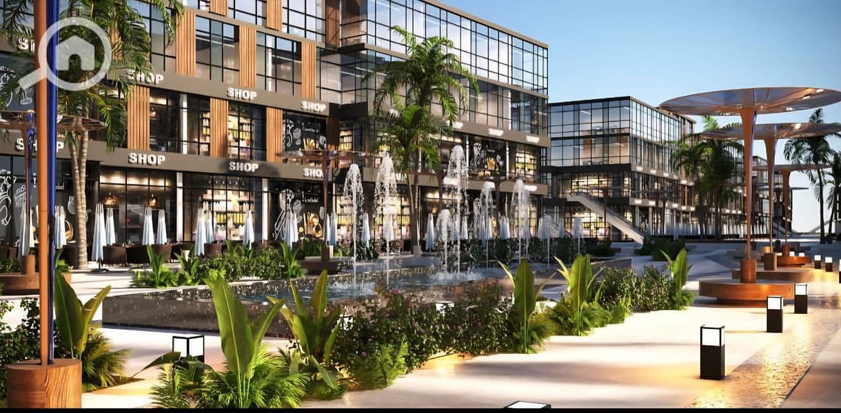 6 photo_5_2026-01-22_00-03-44. jpg