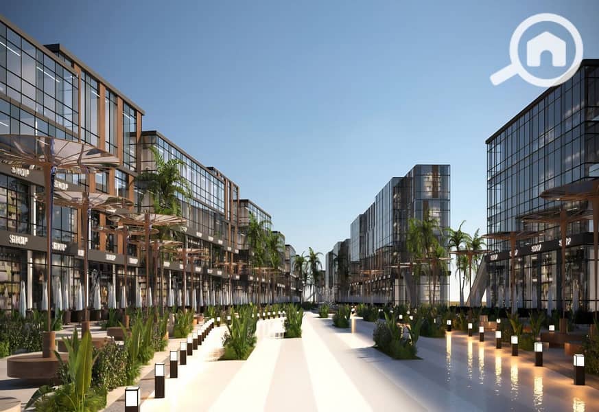 9 photo_9_2026-01-22_00-03-44. jpg