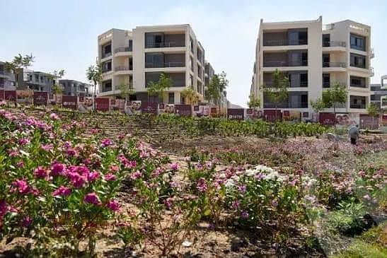 3 943d04eb-42cc-4ff9-b360-218094ffcc45. jpg