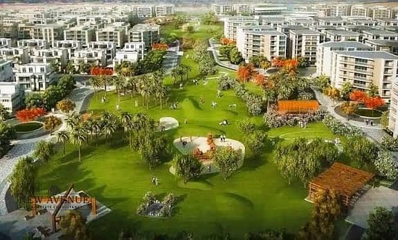 6 b858abf2-3da3-4923-a29c-034eacfcd632. jpg