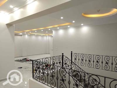 شقة 3 غرف نوم للايجار في القاهرة الجديدة، القاهرة - 48ea92ad-e27f-4e6f-9f38-5dcd62d78289. jpg