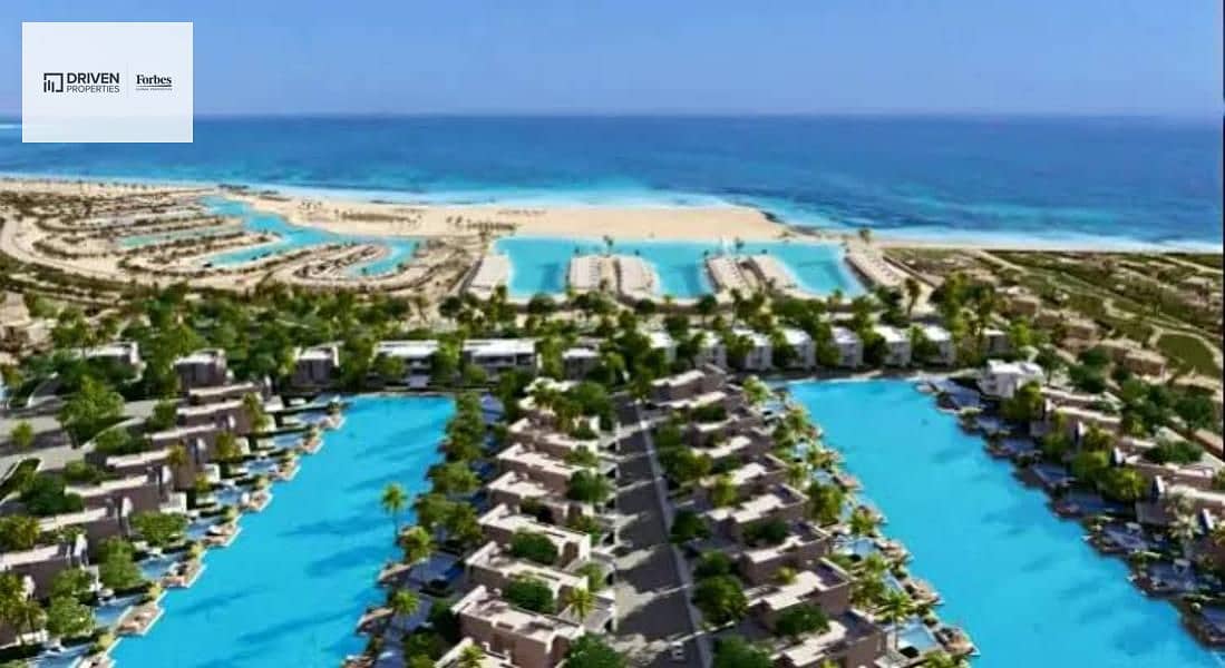 5 990bfaaf-e486-4c5f-b0dd-1eea29fa58b2. jfif. jpg