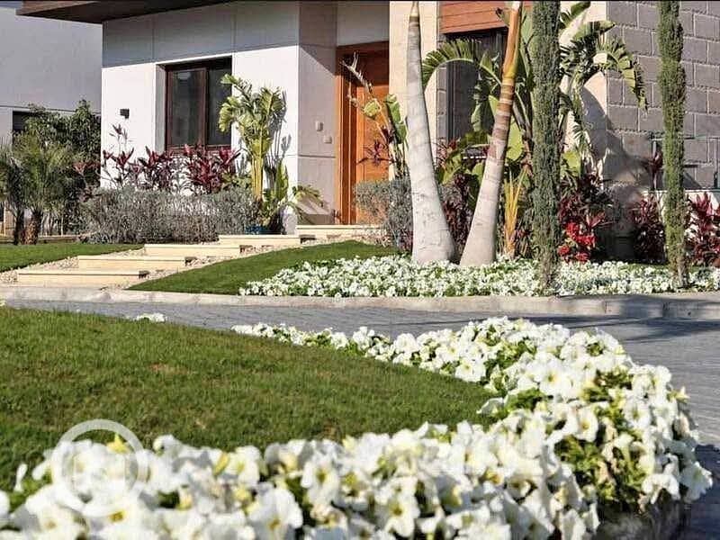 3 563535667_829524956396259_6763562653379335180_n. jpg