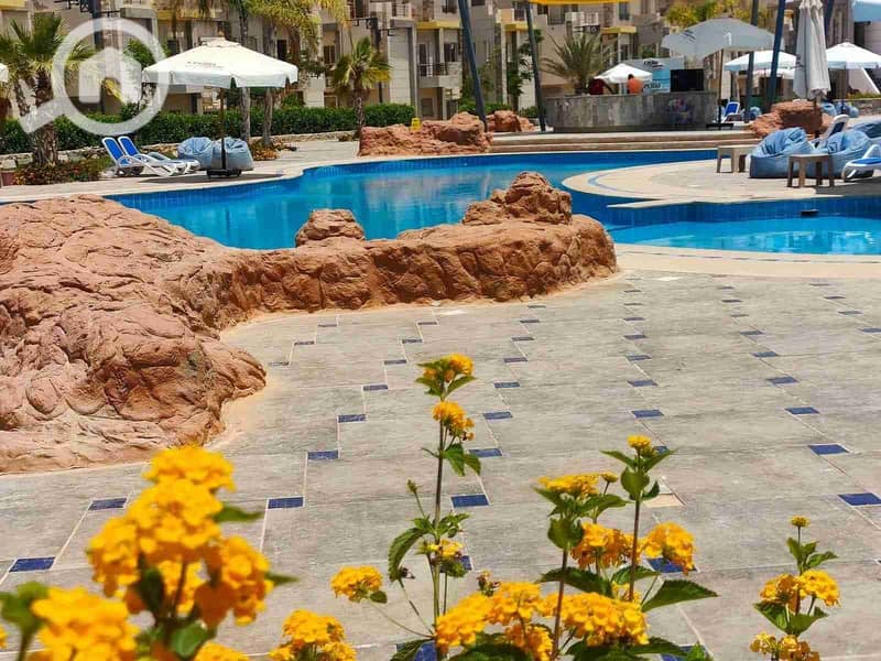 7 IMG-20250125-WA0366. jpg