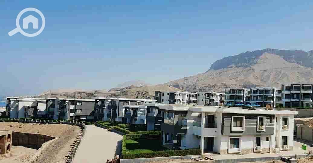 2 IMG-20260119-WA0126. jpg