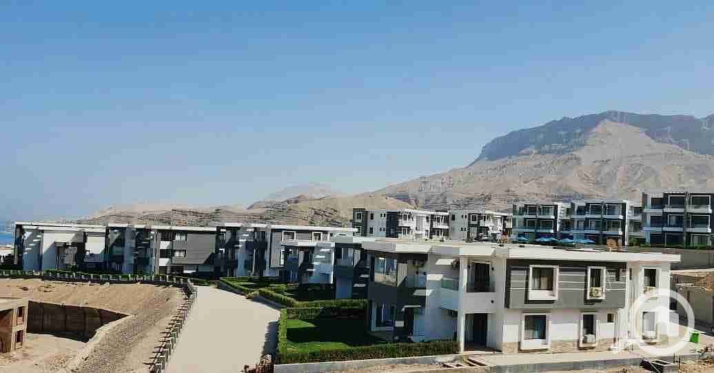 4 IMG-20260119-WA0126. jpg