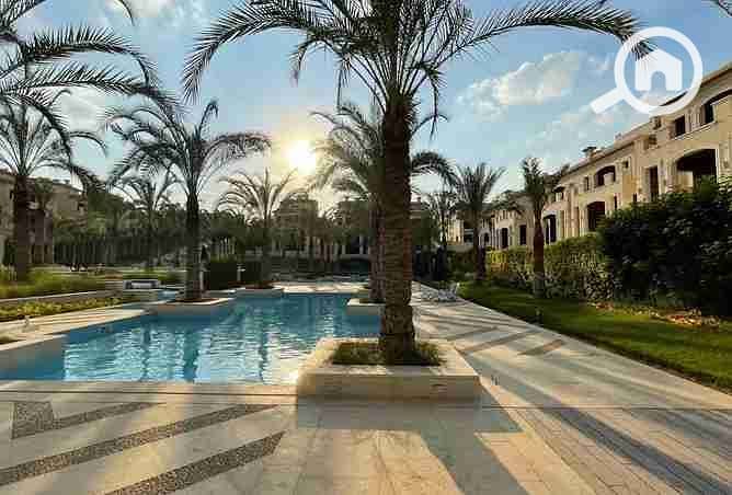 5 2507286-ad740o. webp