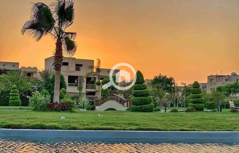 3 512688774_715264461302245_1235373408132951351_n. jpg