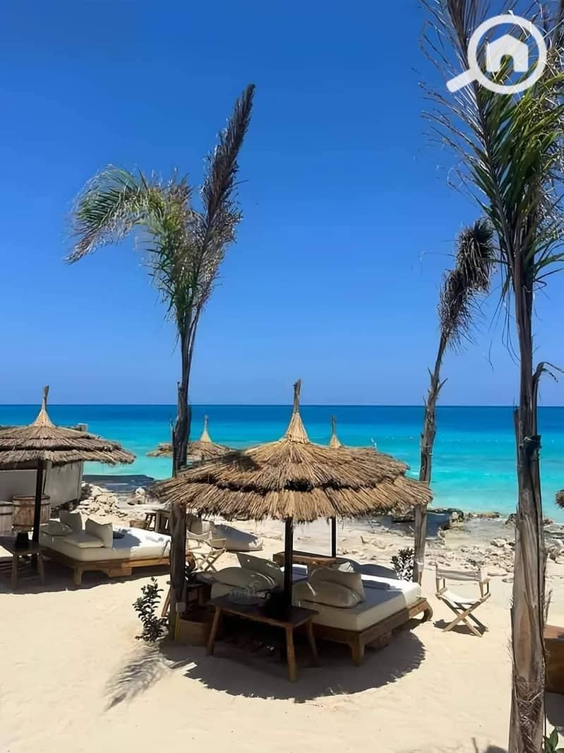 7 FB_IMG_1764016279946. jpg