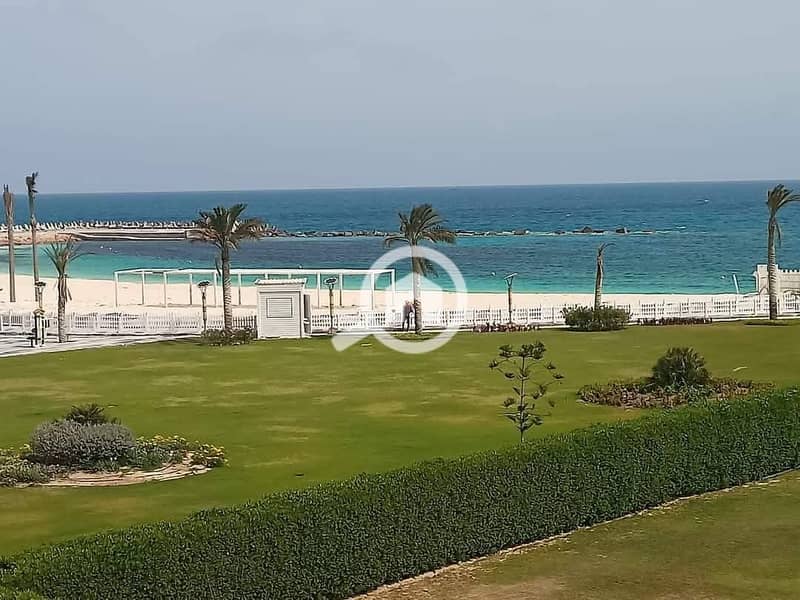 11 FB_IMG_1764016229962. jpg