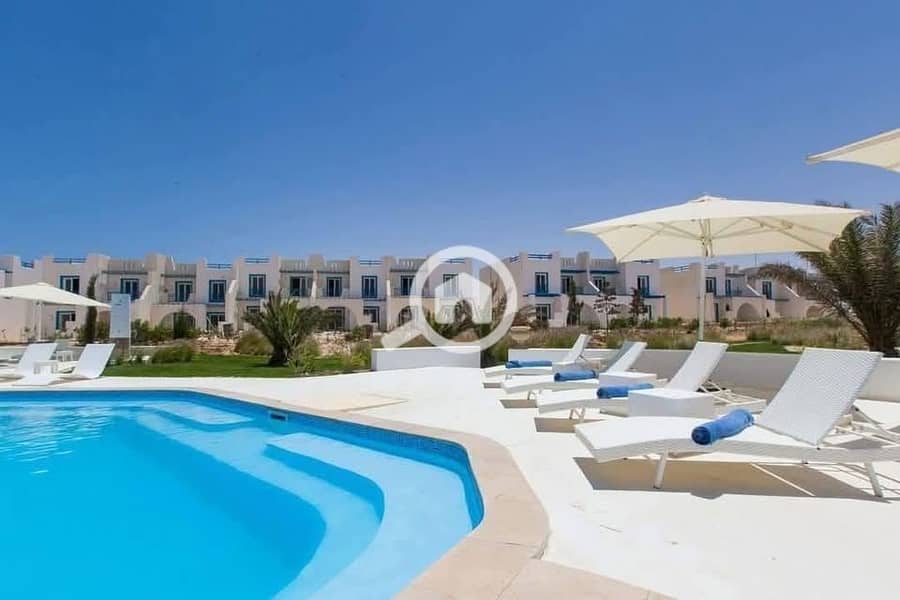 3 493990306_122130448874753433_6634513069356877815_n. jpg