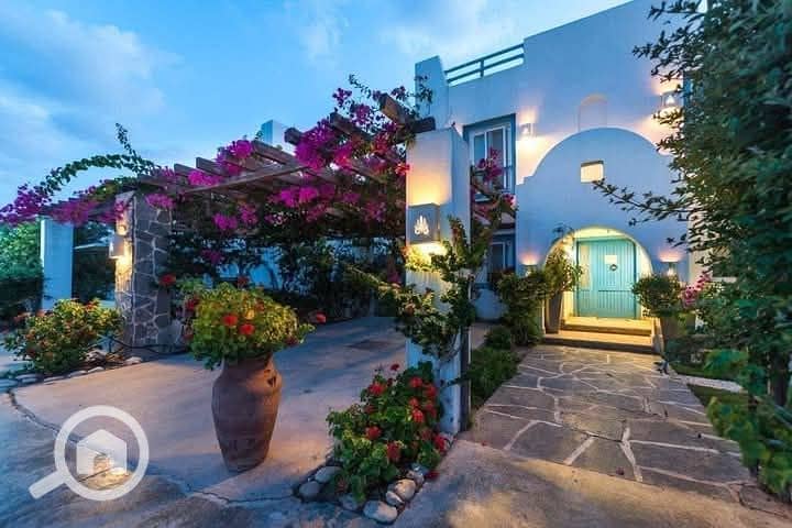 9 531518614_122116864964943933_3650126054138819757_n. jpg