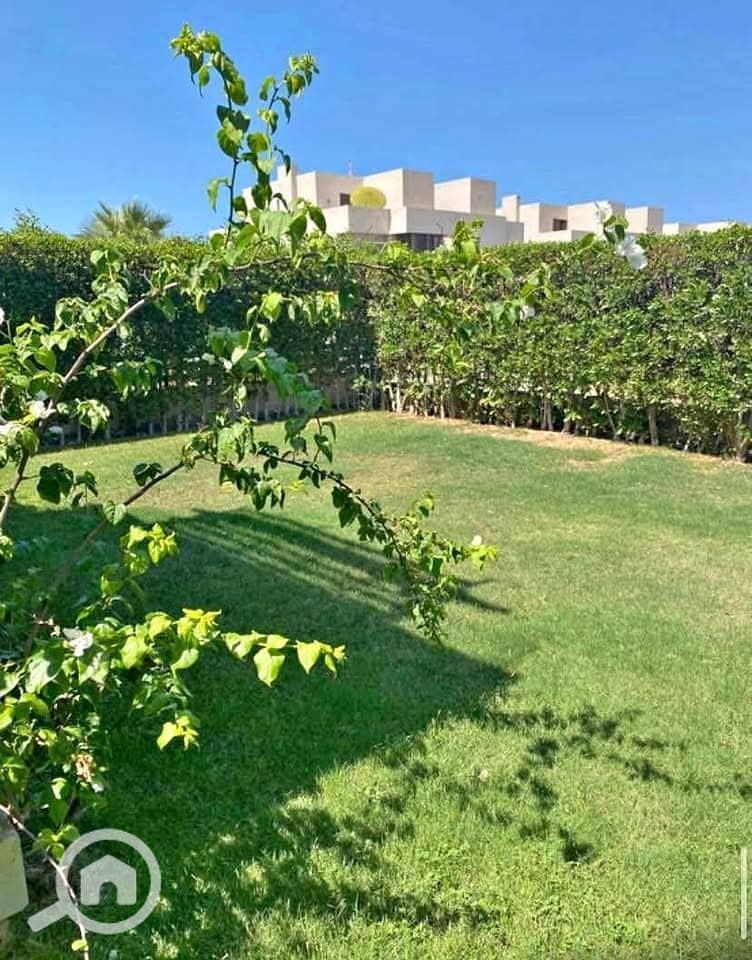 6 578269358_122155211072869684_565891049233514927_n. jpg