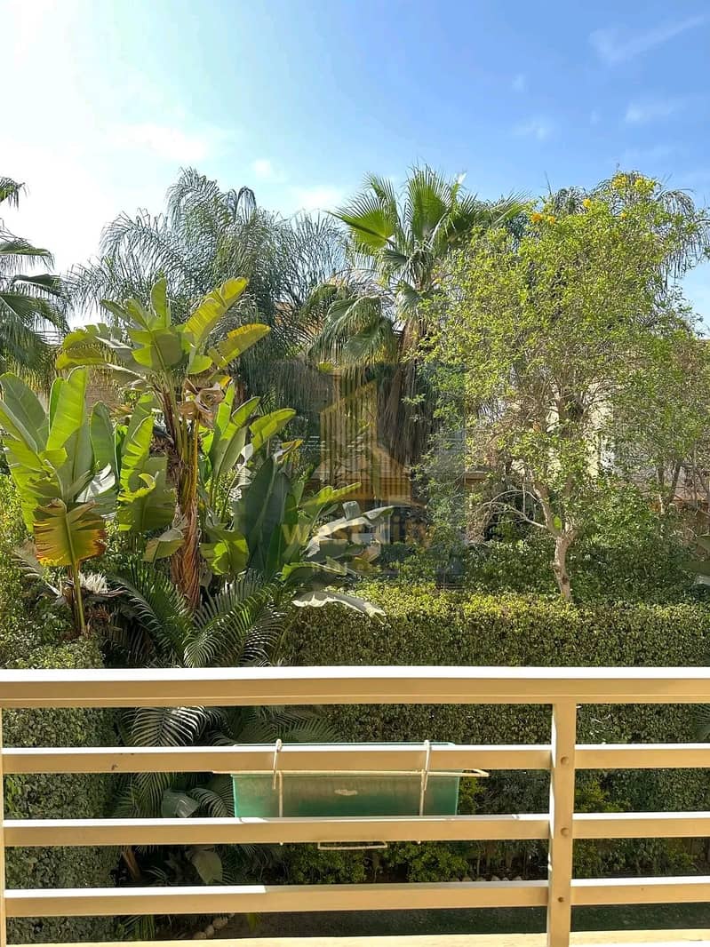 4 1769063580677. jpg