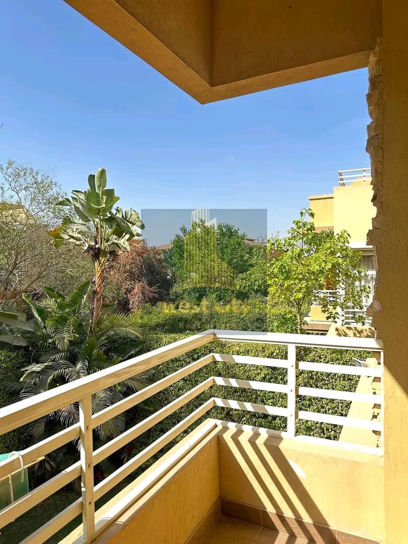 5 1769063583395. jpg