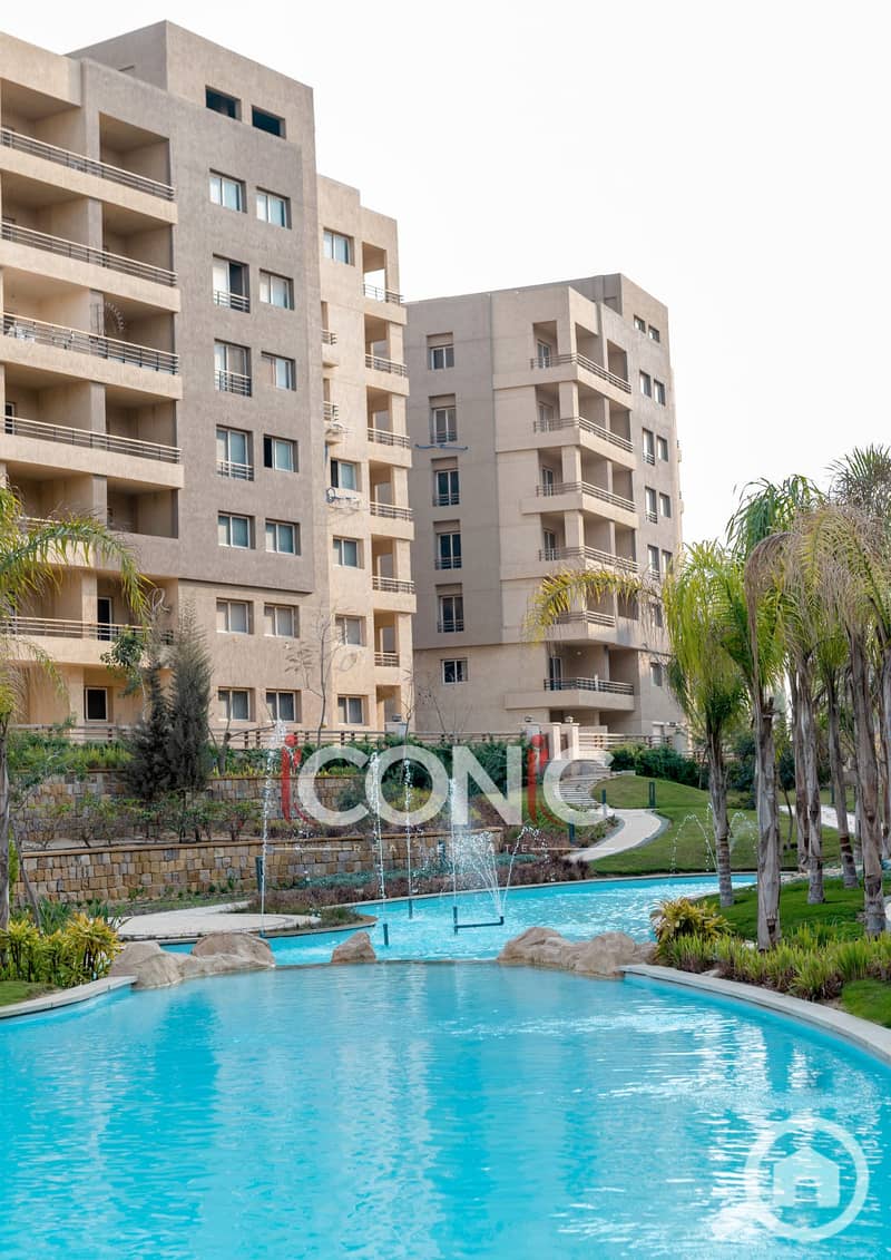 6 Untitled design (65). png