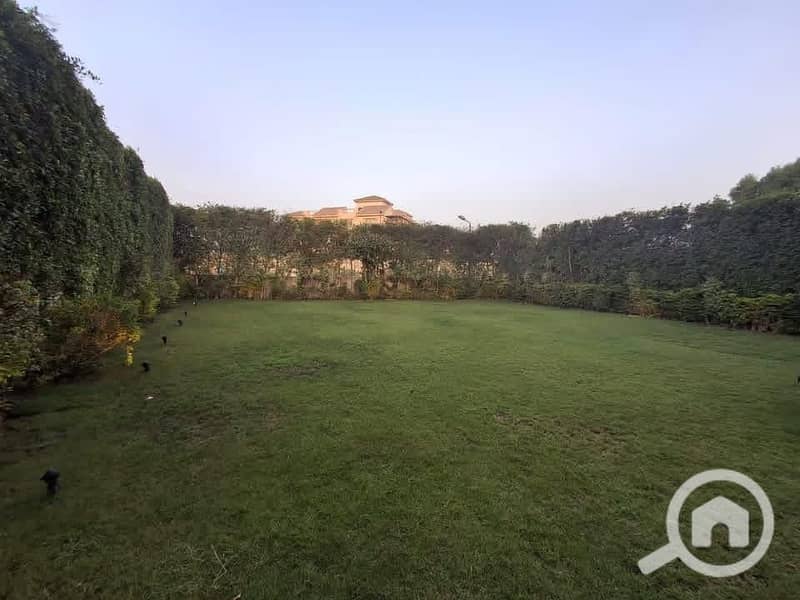 5 2ad5880c-4514-49bd-979b-185b481d621f. jpg