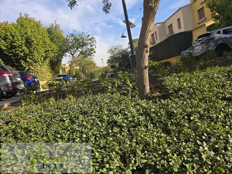 3 20260104_145218. jpg