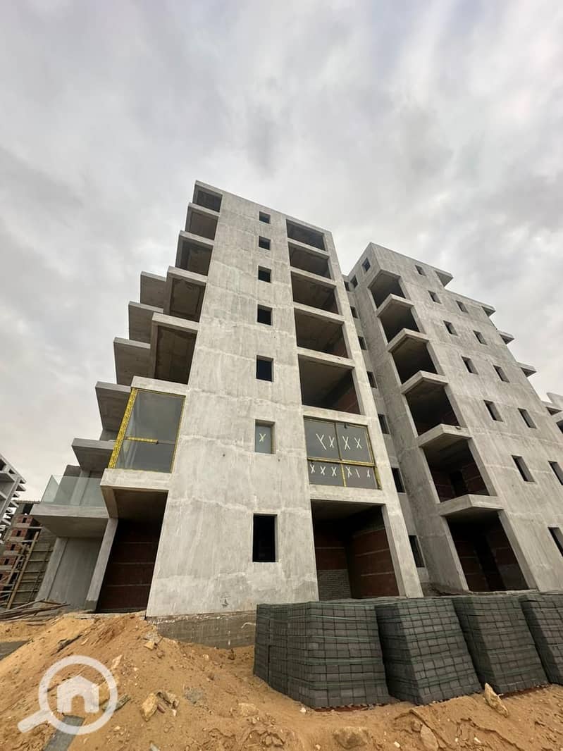 4 3843cf81-51e0-43e8-97e8-0a0e8b8c752c. jpg