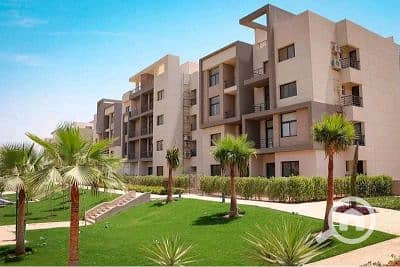 7 IMG-20250803-WA0037. jpg