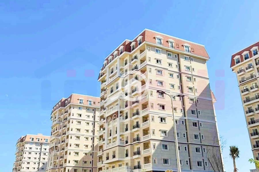 13 WhatsApp Image 2025-11-18 at 15.48. 44 (3). jpg