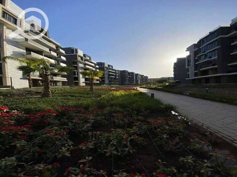 5 07a9dee6-0614-4772-ba4e-9112a503d6dc. jpg