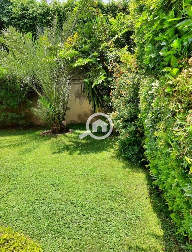 5 f814d549-6abd-4092-b952-c65c94eb8a8c. jpeg