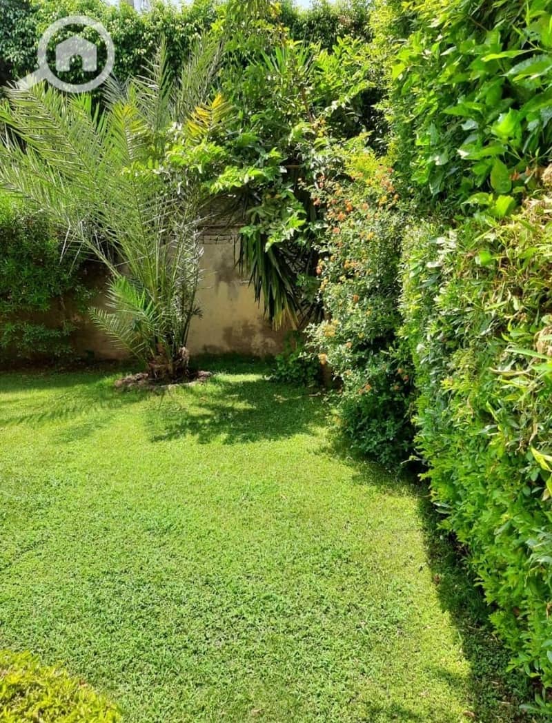 4 f814d549-6abd-4092-b952-c65c94eb8a8c. jpeg