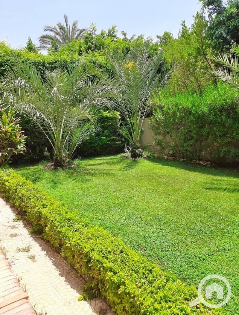 9 9ae4b558-b899-431f-bb0f-11ca60ee909b. jpeg