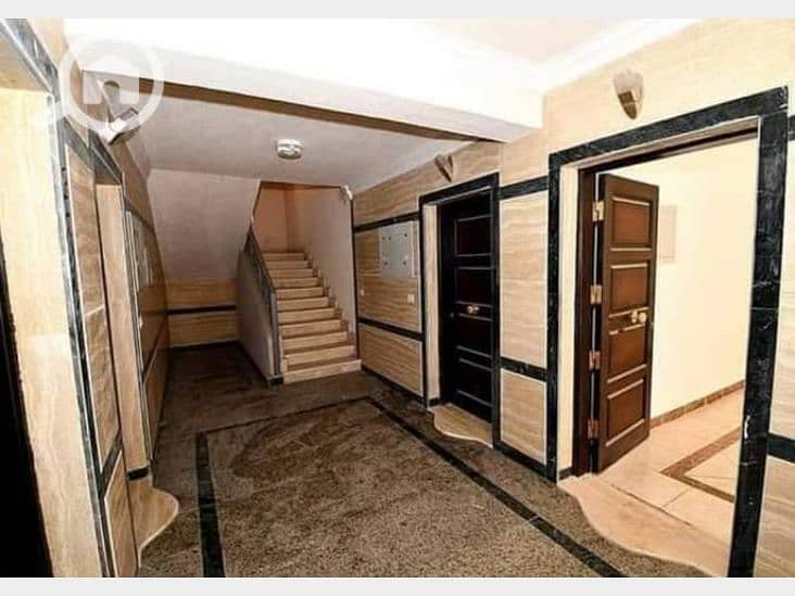 2 5ded24c16a0e2181462353. png