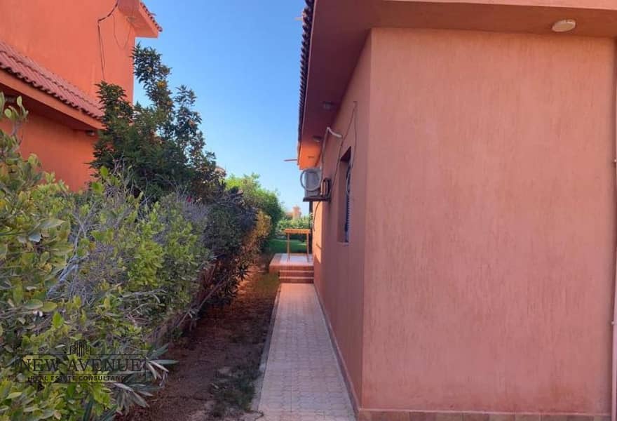 11 5a848d4d-a6d5-46cb-b9fb-cf14b67517a3. jpeg