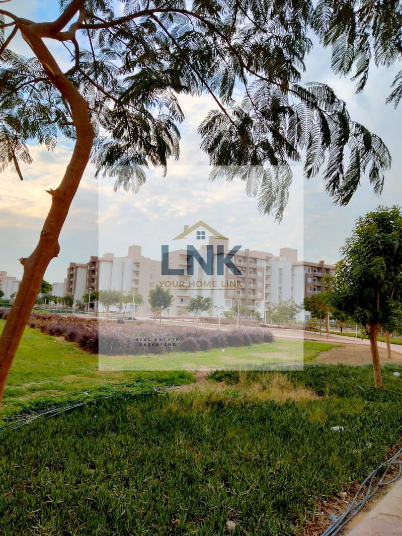 12 9dbd2454-6e88-415c-bfa9-899a434d5b07. jpg