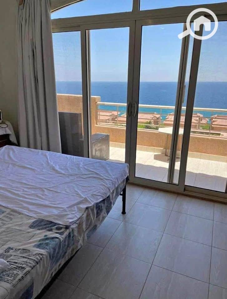 6 592915505_1549426082619005_6301385020690460694_n. jpg