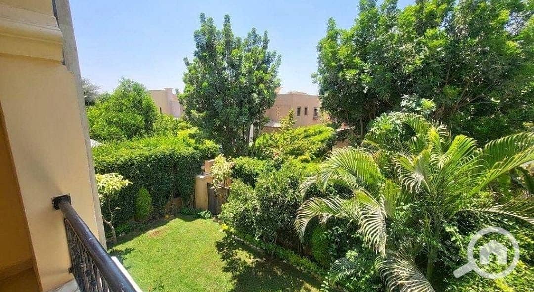 3 64628e0d-599a-46b1-aea6-2208e567d83d. jpeg