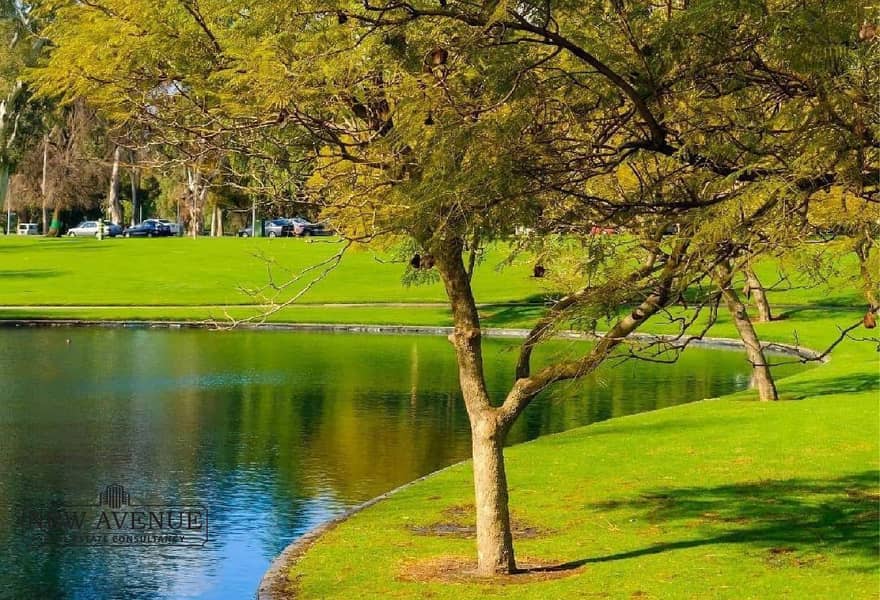 4 7a812cf3-d32d-46ee-b6a2-55759e5df021. jpg