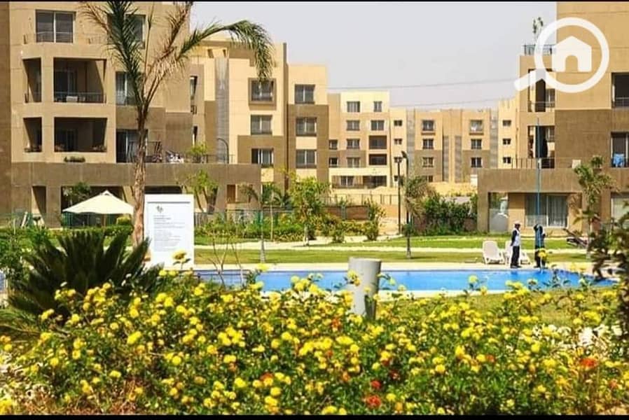 15 WhatsApp Image 2024-11-28 at 12.16. 39_f67d91fb. jpg