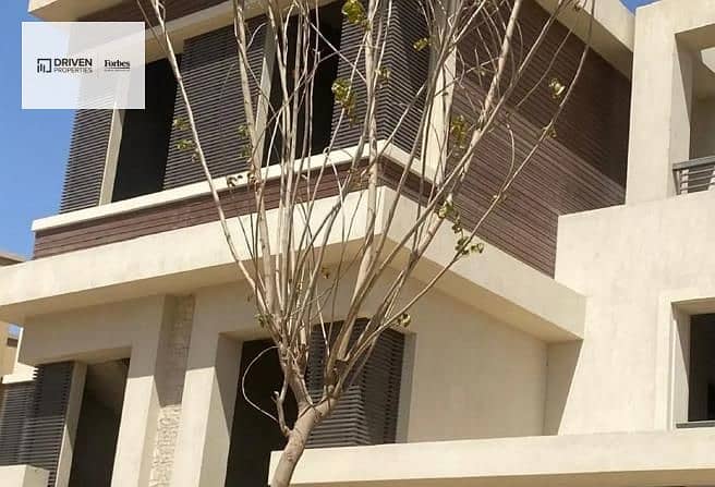 7 8410250-a5ee4o. jpg