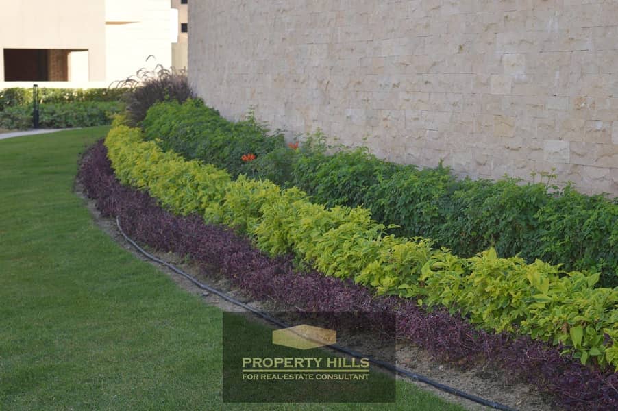 7 1ccae7b6-4c63-4ed3-be7e-9a4630d5c771. jpg