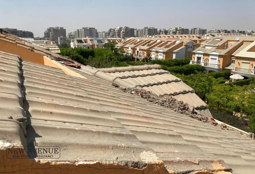 6 676e8f77-0807-42f9-bae2-865e44e41b75. jpg