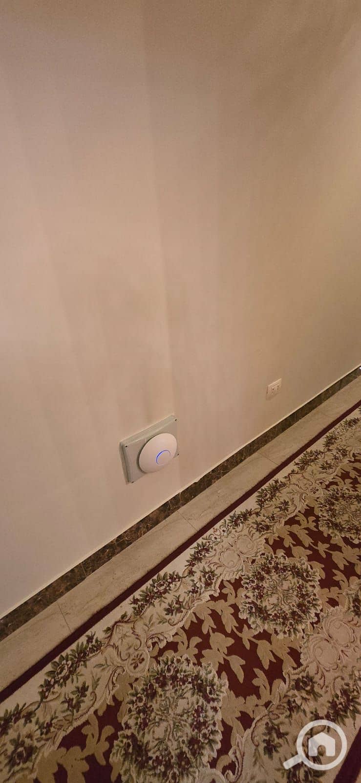 20 WhatsApp Image 2026-01-22 at 12.07. 52 AM. jpeg