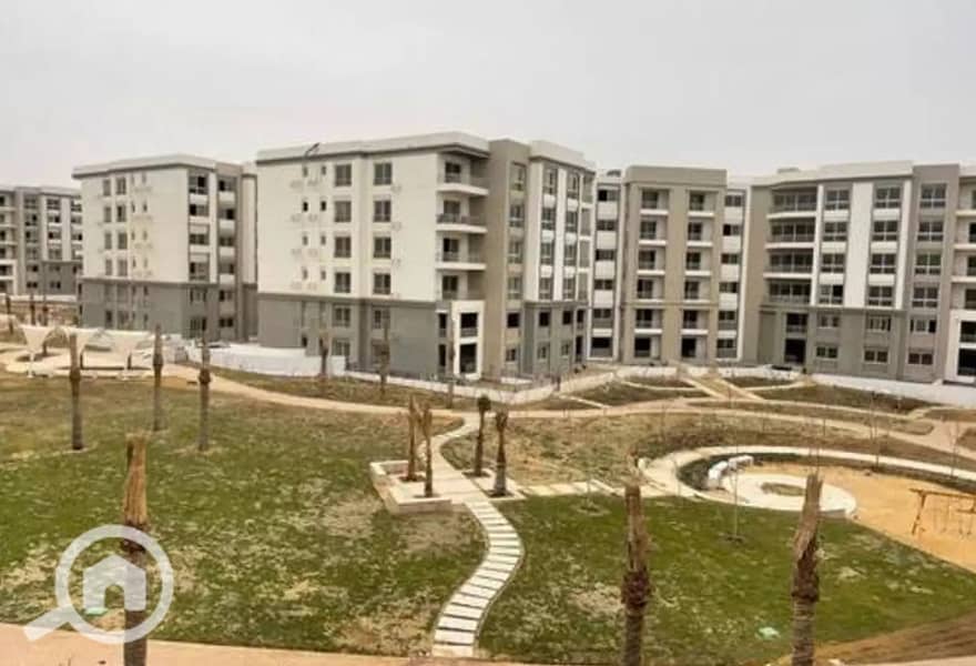 6 4188125-b1705o. jpg