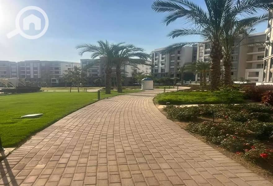 9 4344395-d6d2co. jpg