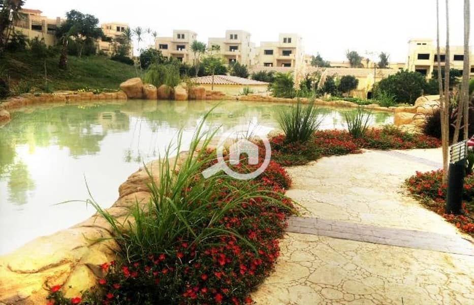 6 MtEhJv6rrlpGr5fizNSH2RrOt5LCyM. jpg