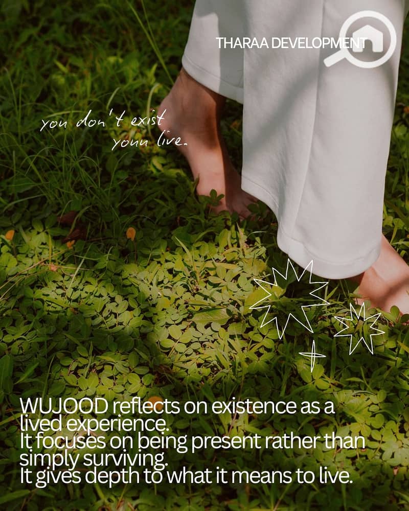 5 57ace872-2061-4300-a085-cd436e0573d5. jpg