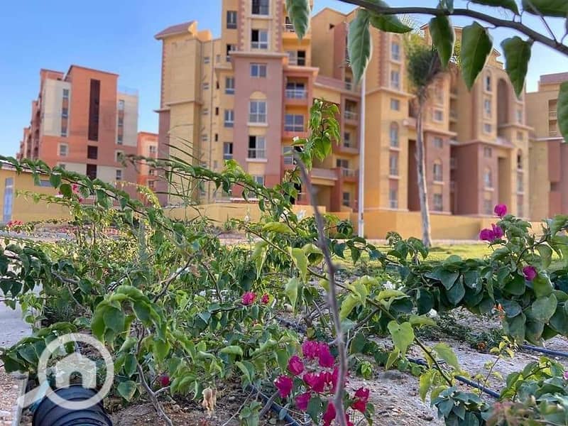 3 WhatsApp Image 2026-01-22 at 10.39. 10 AM (4). jpeg