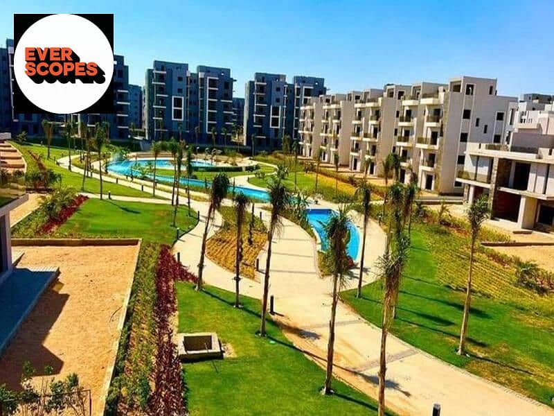 6 4548144-d977do. jpg