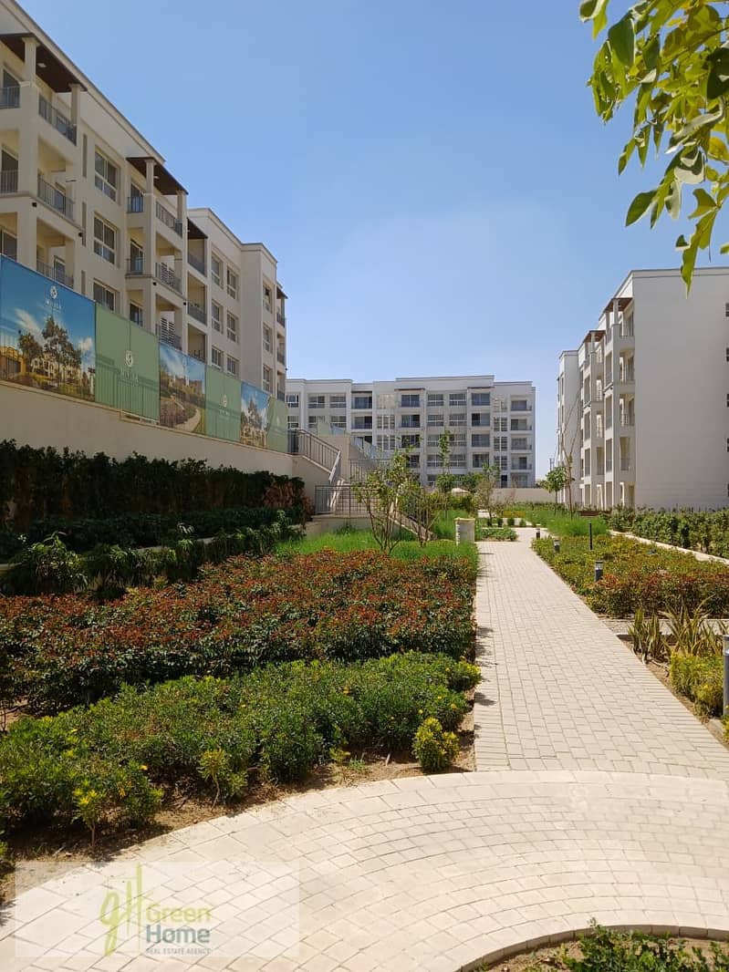 12 WhatsApp Image 2025-07-30 at 16.46. 14_e7c05875. jpg