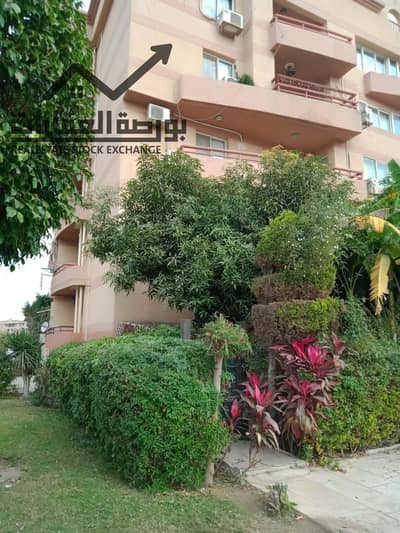 Studio for Rent in New Cairo, Cairo - 597146761_1368375738025093_2794124710387328761_n. jpg