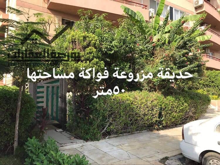 8 dff9ed7a-bbb1-4e98-8af2-40998c55f5aa. jpg