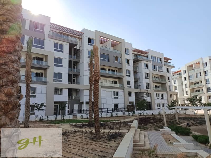 3 IMG_20230815_170605. jpg